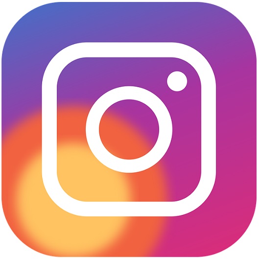 instagram icon-1562136_960_720.jpg
