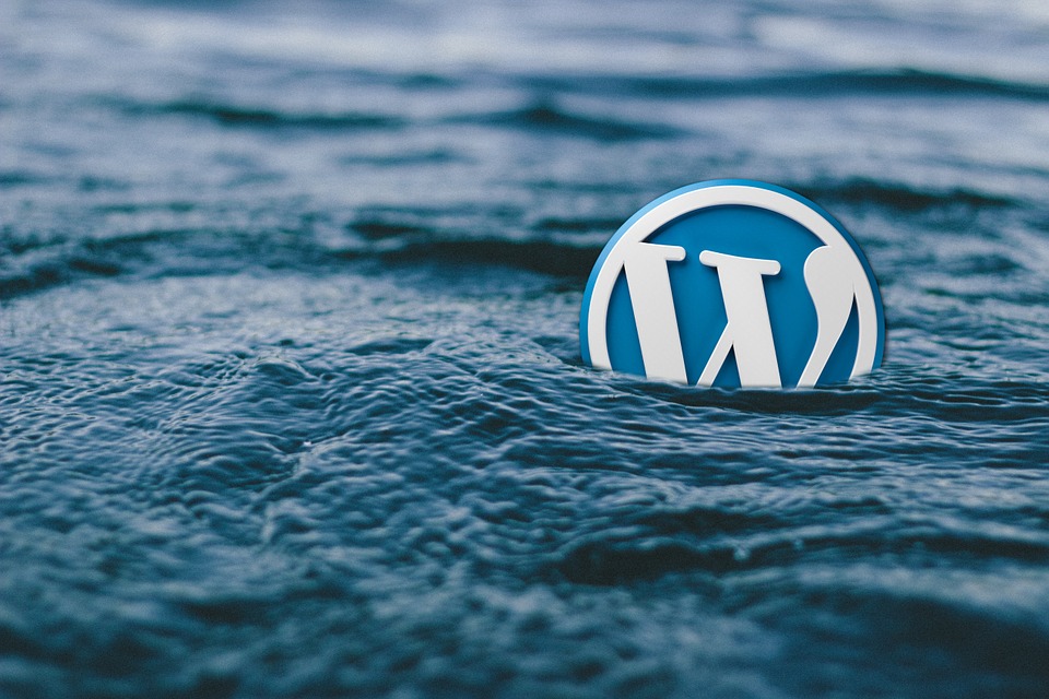 WordPress.jpg