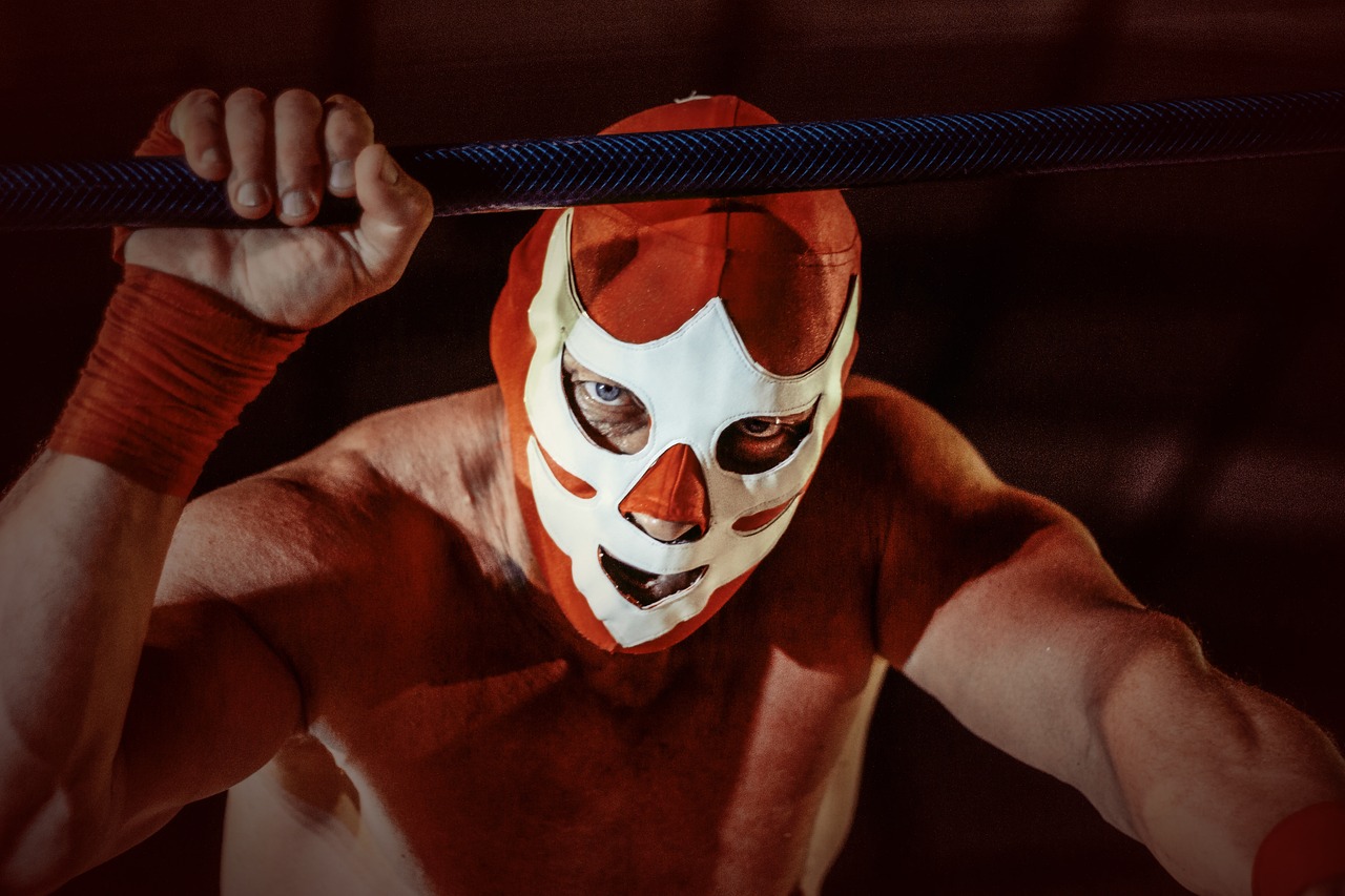 wrestler-5639462_1280.jpg