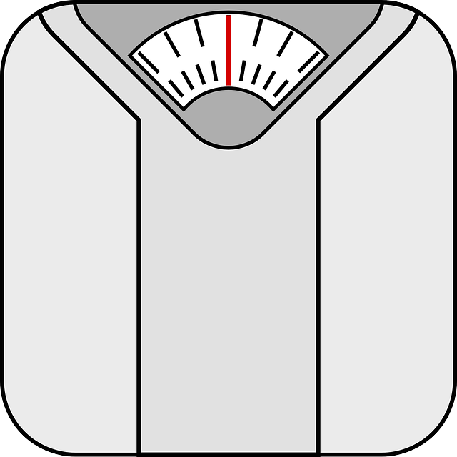scale-37772_640.png
