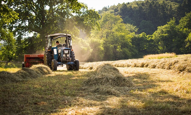 Farming tool.jpg