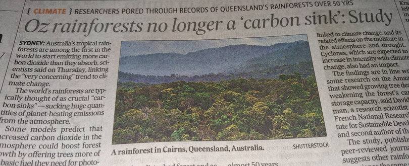 Oz_Forest_Losing_carbon_Sink.png