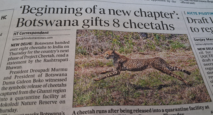Cheetahs-Botswana-01.png