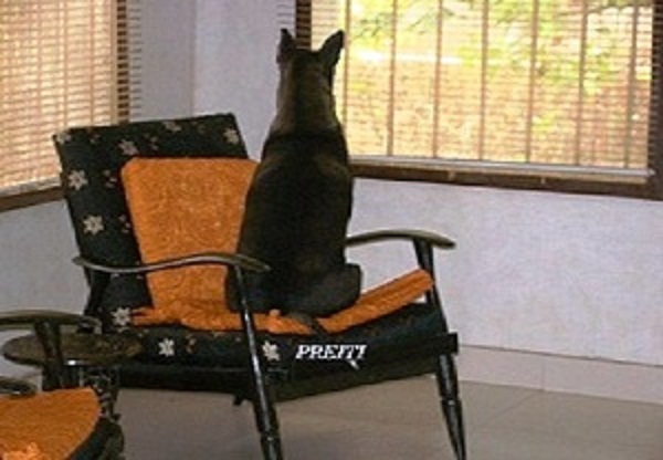 onsofa.JPG